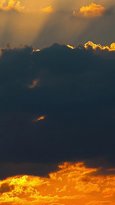 Mystical sunset moment featuring silhouettes of birds in a Japanese twilight.03 库存影片 340536259
