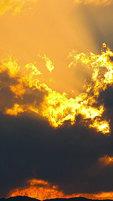 Mystical sunset moment featuring silhouettes of birds in a Japanese twilight.01 库存影片 340536260