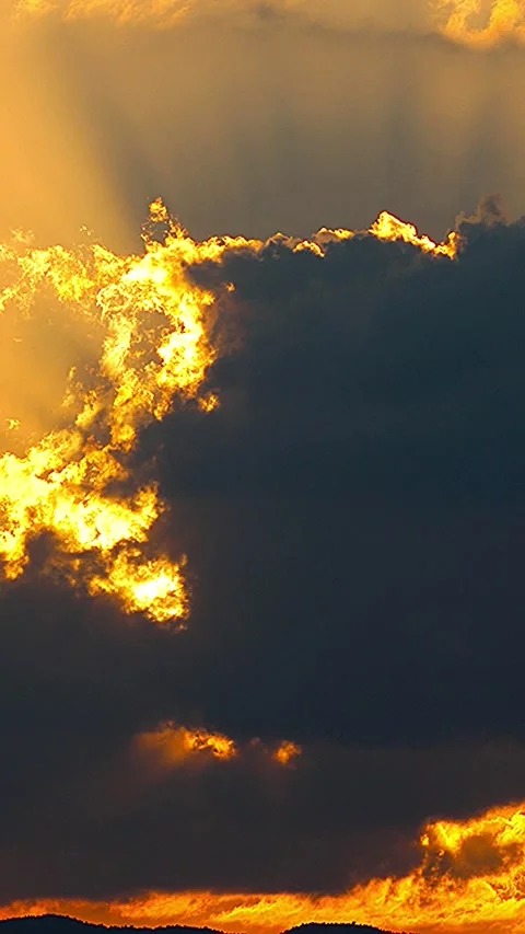 Mystical sunset moment featuring silhouettes of birds in a Japanese twilight.02 Video stock 340536261