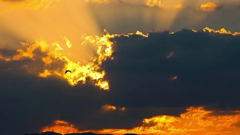 Mystical sunset moment featuring silhouettes of birds in a Japanese twilight, 4K Stock Footage 340536262