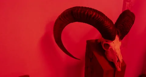 Mystical thriller with evil devil goat skull, skeleton, horror Halloween scene Stock-Footage 172170323