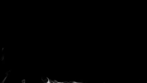 Mystical White Smoke on Black Background Captured in Motion 動画素材 341780968