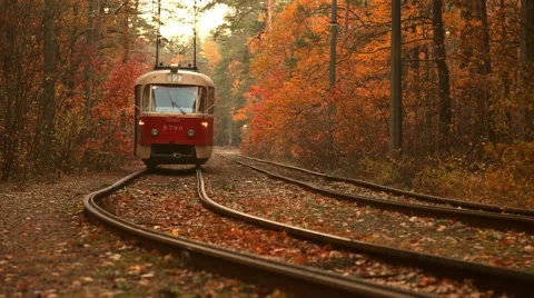 Mythical red train in the autumn forest Stock Footage 56501368