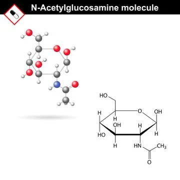 N-Acetylglucosamine molecule Stock Illustration