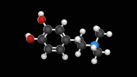 N-dimethyldopamine (DMDA). Seamless loop. Black background Stock Footage 154418184