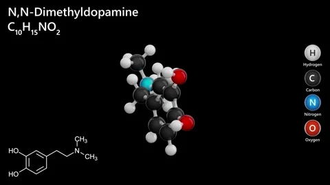 N-n-dimethyldopamine 02 black back Video stock 292913655