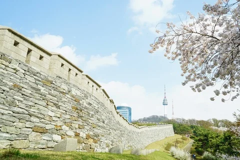 N z Stock Footage 106869918