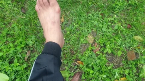N9_happyfeet Stock Footage 146060352