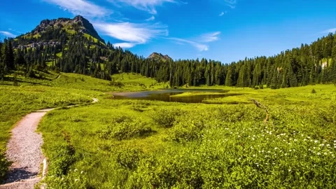 Naches Peak Loop Trail and Tipsoo Lake in Mount Rainier National Park, Washingto Stock Footage 332141428