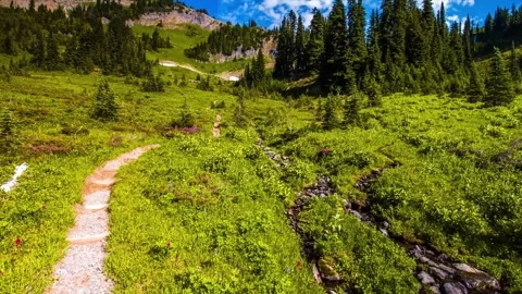 Naches Peak Loop Trail Hike in Mount Rainier National Park, Washington State, US Stock Footage 332141458