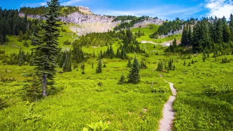 Naches Peak Loop Trail in Mount Rainier National Park, Washington State, USA Video stock 332141461