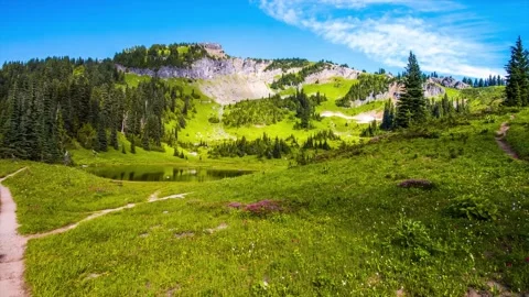 Naches Peak Loop Trail, Mount Rainier National Park, Washington State, USA Stock Footage 332141467