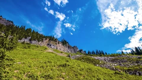 Naches Peak Loop Trail, Mount Rainier National Park, Washington, USA Stock Footage 332141516