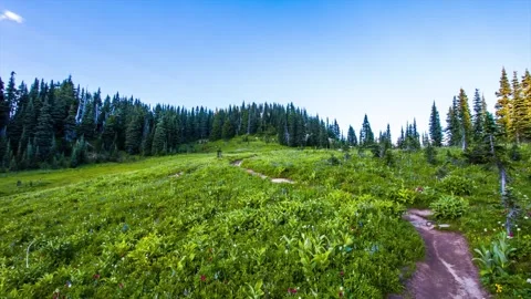 Naches Peak Loop Trail, Mount Rainier National Park, Washington State, USA Sceni Stock Footage 332141560