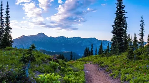 Naches Peak Loop Trail with Mountain Views and Alpine Meadow in Mount Rainier Na Stock Footage 332141574