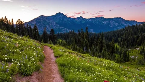 Naches Peak Loop Trail at Sunset, Mount Rainier National Park, Washington State, Stock Footage 332141732