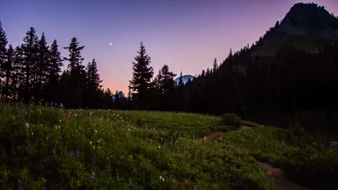 Naches Peak Loop Trail at Sunset, Mount Rainier National Park, Washington State Stock Footage 332141789