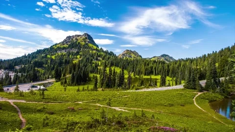Naches Peak Loop Trail with Wildflowers and Mountain Views in Mount Rainier Nati Stock Footage 332141462