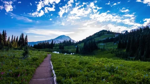 Naches Peak Loop Trail with Wildflowers and View of Mount Rainier at Sunrise Video stock 332141547