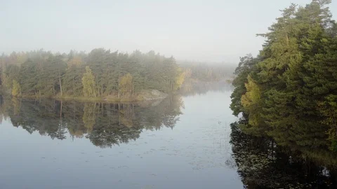 Nacka Nature Preserve Vídeos de archivo 109521112