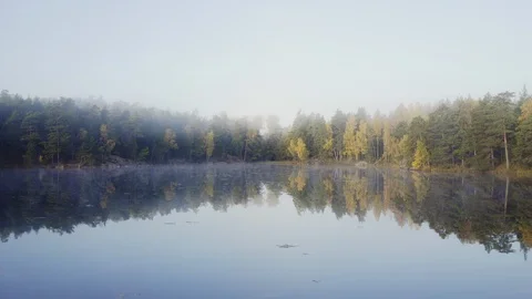 Nacka Nature Preserve Stock Footage 109521690