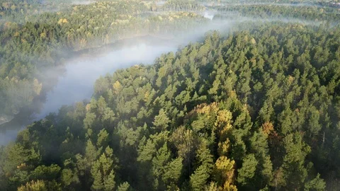 Nacka Nature Preserve Vidéo 109521902