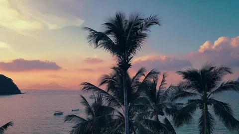 Nacpan Beach in the Philippines Stock Footage 302999903