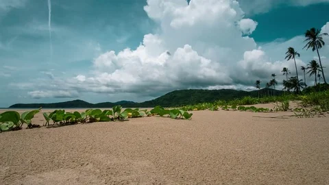 Nacpan beach.1 Stock Footage 77866877