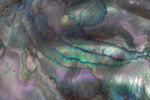 Nacre background pattern texture Stock Photos