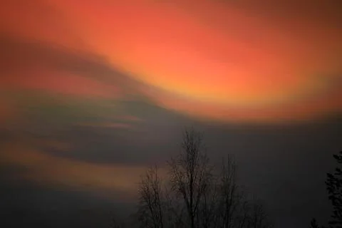 Nacreous clouds in dusk over tree silhouettes Stock Photos