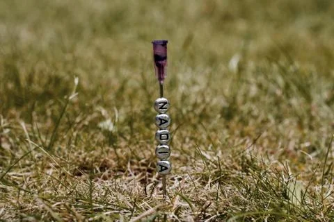 Nadia letters on the needle Foto stock