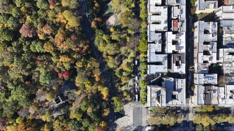Nadir Aerial Flyover of Central Park Boundary Revealing Traffic Circle Vídeo Stock 344590889