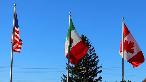 NAFTA flags Stock Footage
