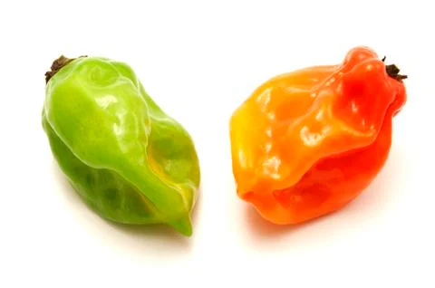 Naga morich Stock Photos