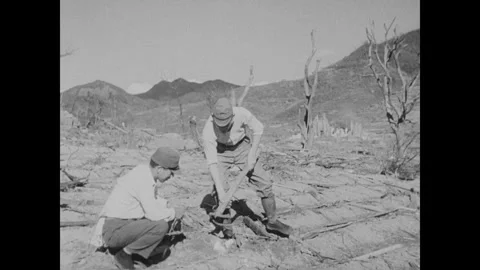 NAGASAKI 1940s: Two men in a desolate, scorched field with charred tree stumps Stock Footage 341983000