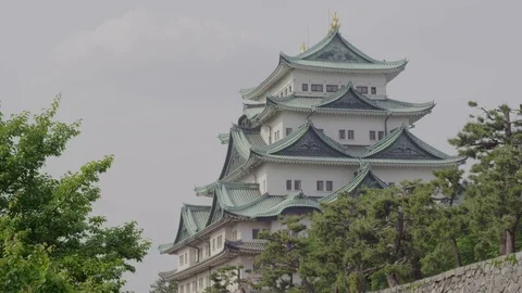 Nagoya Castle Video stock 76169754