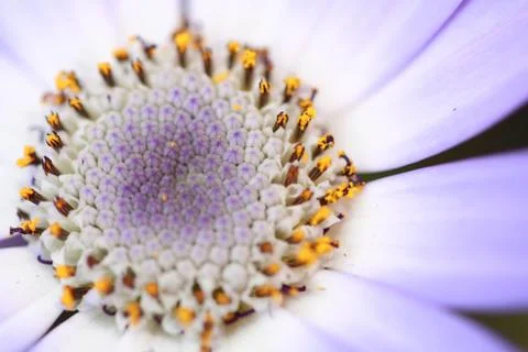 Nah dran Stock Photos