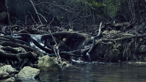 Nahal Amud Sequence With Sound2 Vidéo 85604901