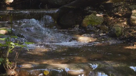 Nahal Amud stream flow in super slow motion Stock Footage 94098527