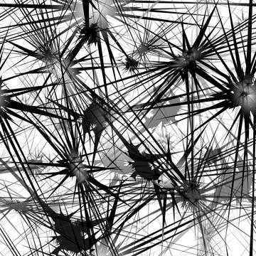 Nahltoses Muster seamless pattern, nahtloses Muster Copyright: xZoonar.com... Foto stock