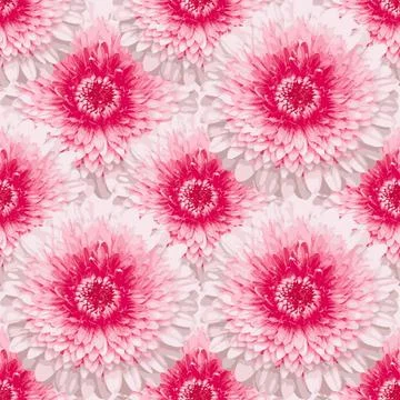 Nahtlos Gerbera seamless pattern wit vectorized Gerbera Copyright: xZoonar... 스톡 사진