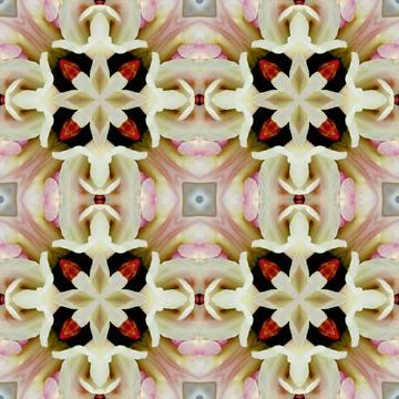 Nahtloses Muster seamless pattern Copyright: xZoonar.com/angetax 4138440  Stock Photos