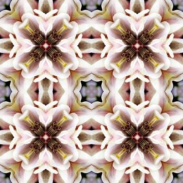 Nahtloses Muster seamless pattern Copyright: xZoonar.com/angetax 4138450  Foto stock