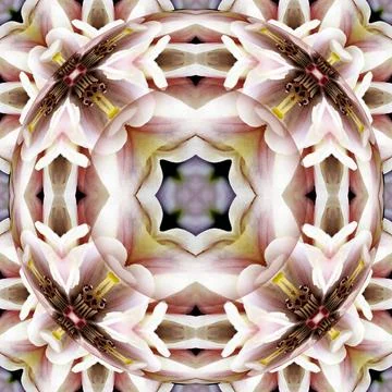 Nahtloses Muster semless pattern Copyright: xZoonar.com/angetax 4138451  Stock Photos