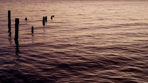 Nahuel Huapi Lake With Vertically Floating Logs Stock Footage 230441956