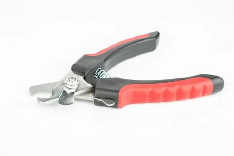 Nail clipper for pet. Stock Photos