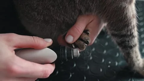 Nail filing smooths sharp edges and prevents damage, nail care reduces furniture Stock Footage 305546226