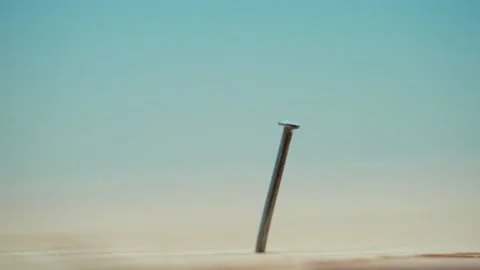 The nail is hammered into a tree and bent. macro. The concept is a failure. Vidéo 156846553
