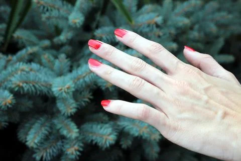 Nail polish Stock Photos