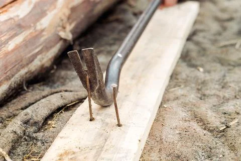 Nail puller close-up, on the street. Pulling out old nails Stock Photos